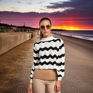 Women’s Sweater ZARA Funnel Neck Black White Zig Zag Stripe Long Sleeve Crop Top